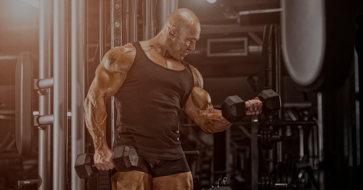 Power Your Performance